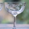 Two Champagne Saucers With Fern Design New