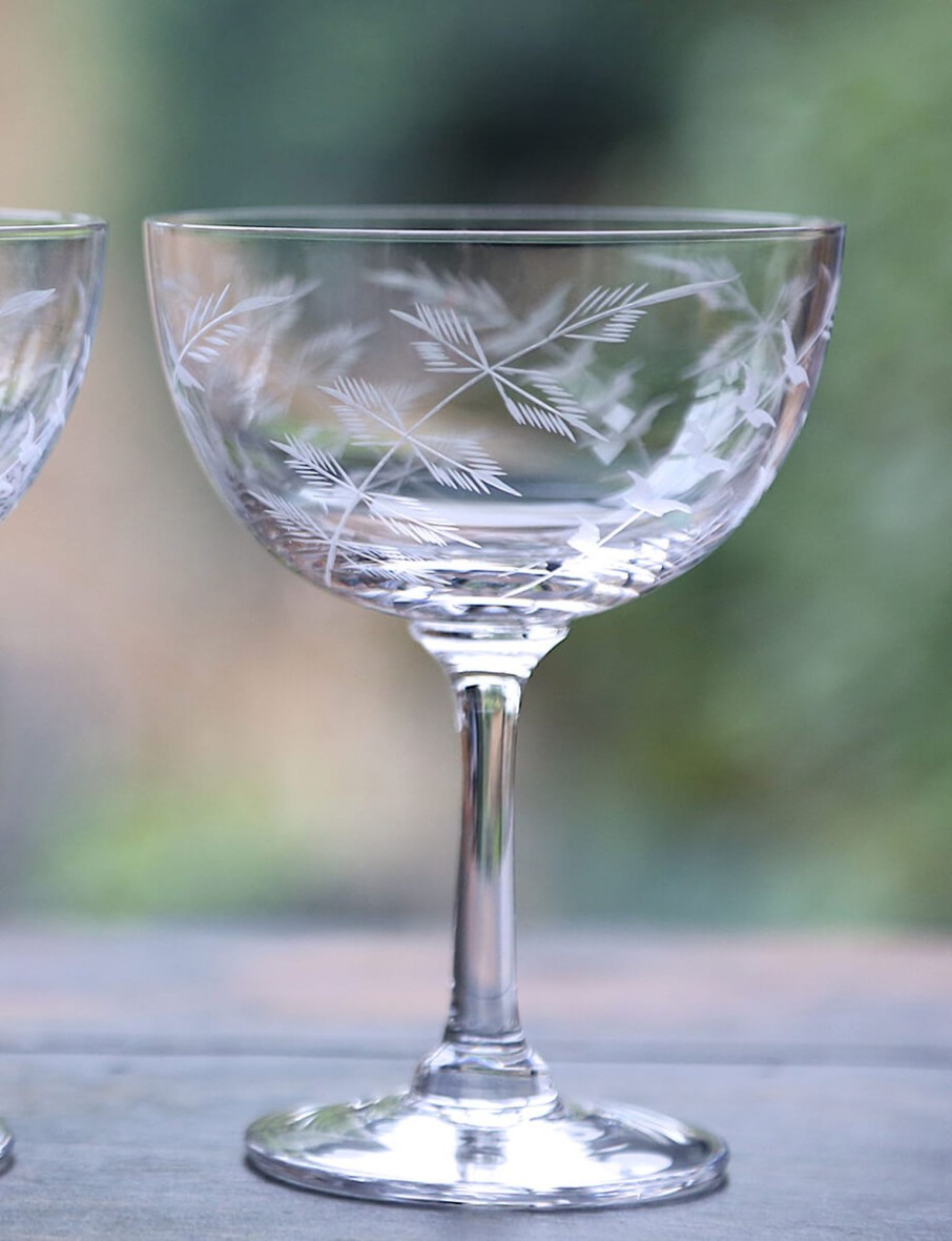 Two Champagne Saucers With Fern Design New