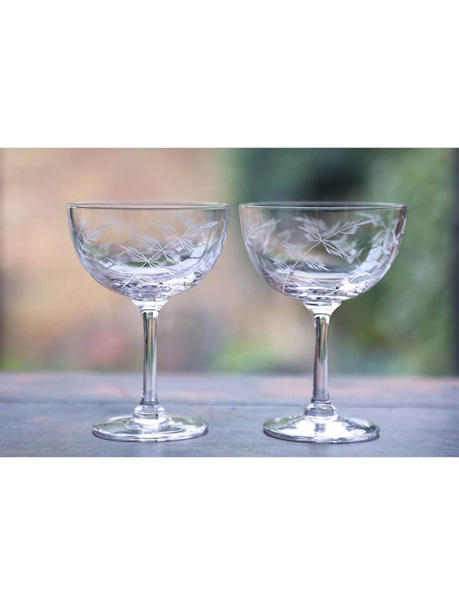 Two Champagne Saucers With Fern Design New