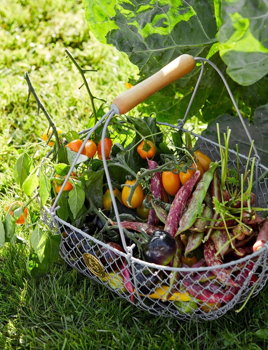 Large Harvesting Basket Best