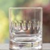 Two Whisky Glasses With Lens Design Clearance