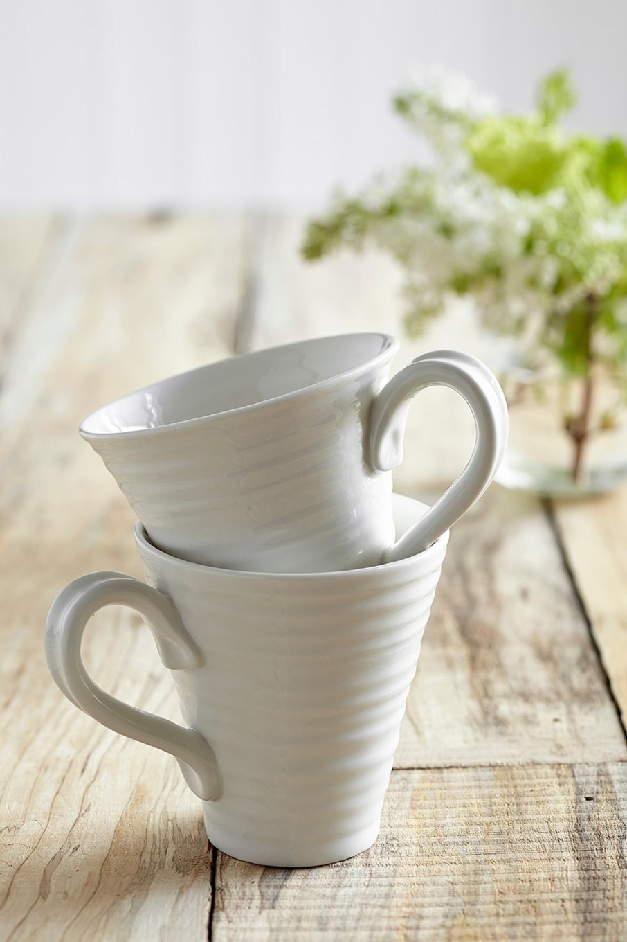 White Porcelain Classic Mugs - Set Of Four Best