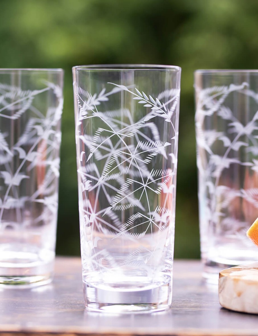 Four Highball Glasses With Fern Design Hot