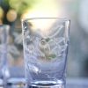 Six Tumblers With Fern Design Online