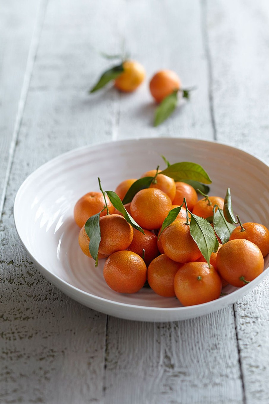 White Porcelain Large Statement Bowl Clearance