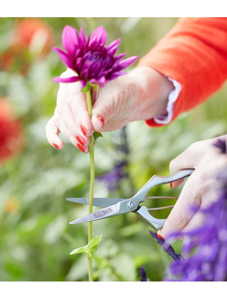 Precision Secateurs Hot