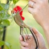 Gardener'S Secateurs Hot