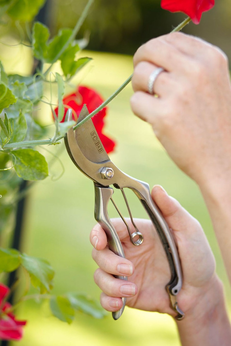 Gardener'S Secateurs Hot