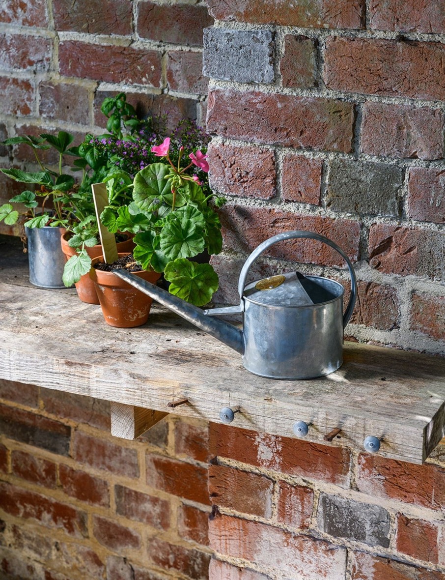 Small Galvanised Indoor Watering Can Best