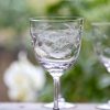 Six Wine Glasses With Fern Design Best