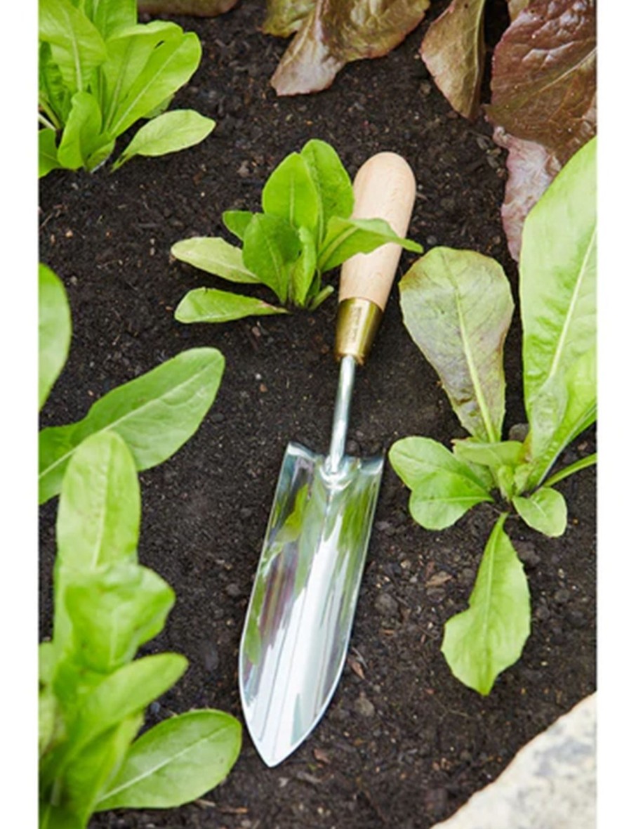 Long Thin Trowel Wholesale