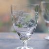 Six Bistro Glasses With Fern Design New