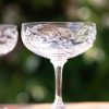 Four Cocktail Glasses With Ferns Design Hot