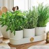 Buttermilk Herb Pots - Set Of Three Best