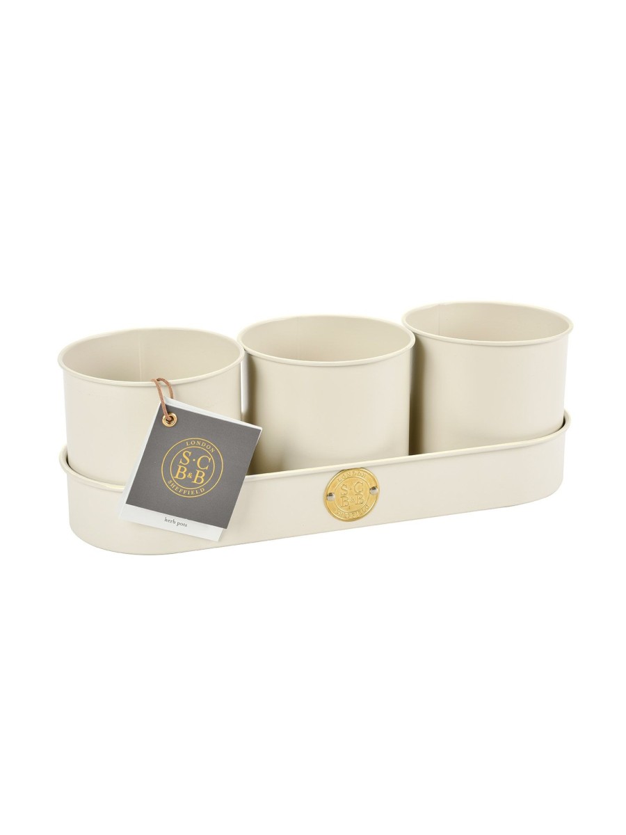 Buttermilk Herb Pots - Set Of Three Best