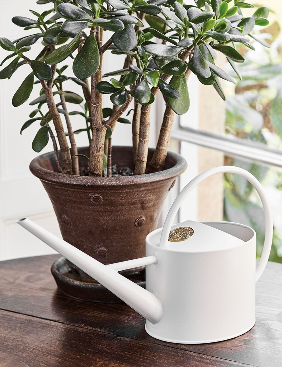 Sophie Conran - Indoor Watering Can Hot