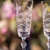 Four Champagne Flutes With Fern Design Best