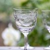 Two Wine Glasses With Fern Design Best