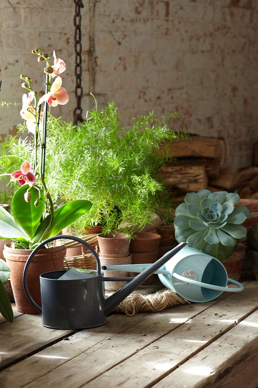 Soft Grey Indoor Watering Can New