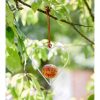 Heart Bird Feeder Online